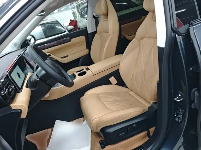Leapmotor Leapmotor C11 2024 Pure Electric 580 Premium Edition — Фото автомобиля 14