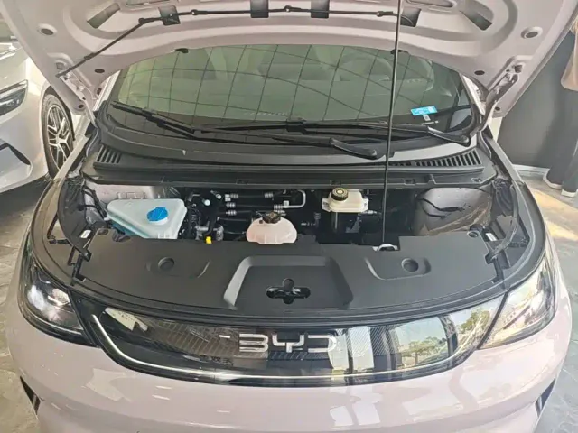 BYD Dolphin — Фото автомобиля 19