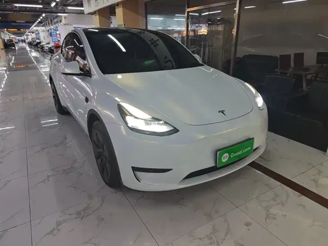 Tesla Model Y — Фото автомобиля 3