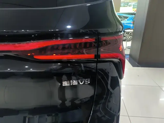 Forthing Xinghai V9 — Фото автомобиля 7