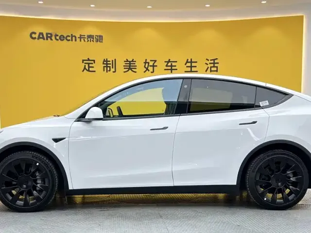 Tesla Model Y — Фото автомобиля 6