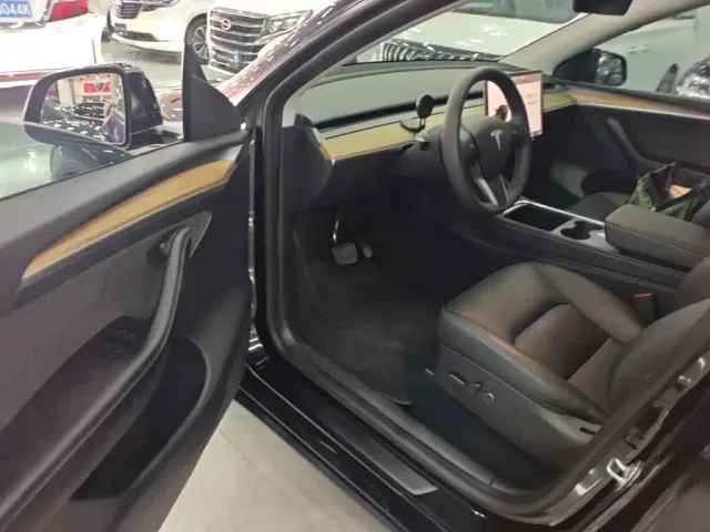 Tesla Model Y — Фото автомобиля 11