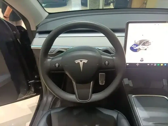 Tesla Model Y — Фото автомобиля 10