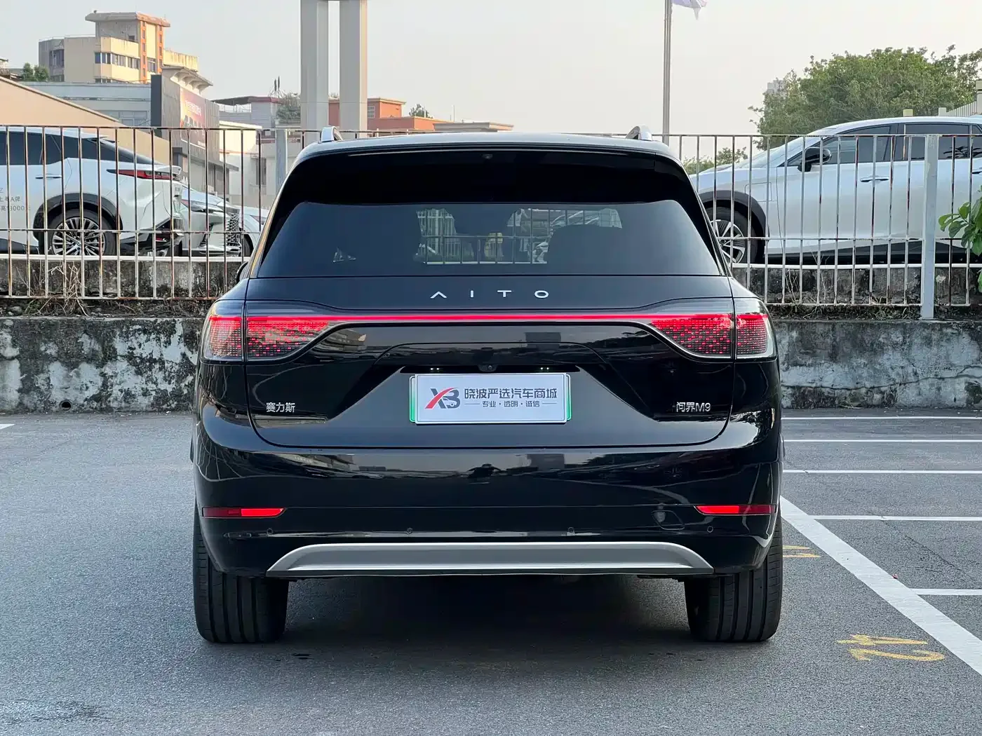 AITO Wenjie AITO M9 2024 Range Extender Max Edition 42kWh 6-seater — Фото автомобиля 6