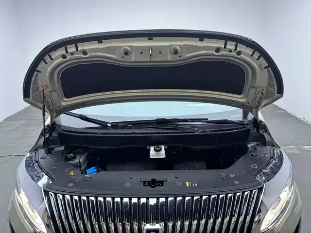 Wey Alpine — Фото автомобиля 17