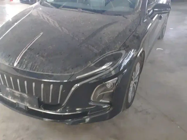 Hongqi E-QM5 — Фото автомобиля 23