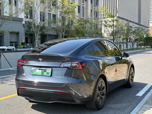 Tesla Model Y — Фото автомобиля 9