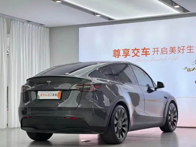 Tesla Model Y — Фото автомобиля 7