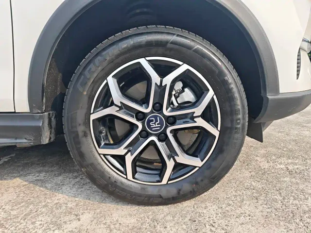 BYD Yuan Pro 2021 Lifetime Love Edition — Фото автомобиля 10