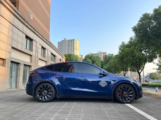 Tesla Model Y — Фото автомобиля 5