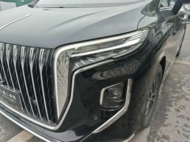 Hongqi Hongqi HQ9 PHEV 2024 Model 2.0T AWD Business Edition — Фото автомобиля 23