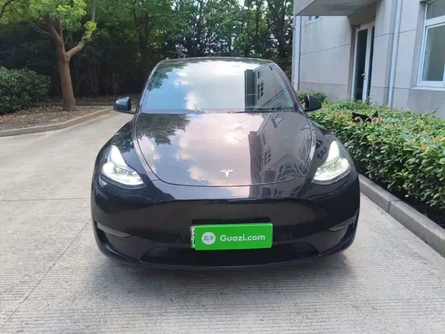 Tesla Model Y — Фото автомобиля 2