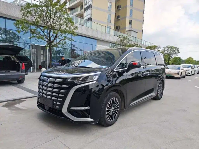 Фотография автомобиля — Denza D9