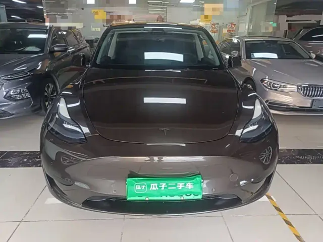 Tesla Model Y — Фото автомобиля 2