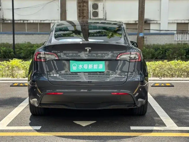 Tesla Model Y — Фото автомобиля 7