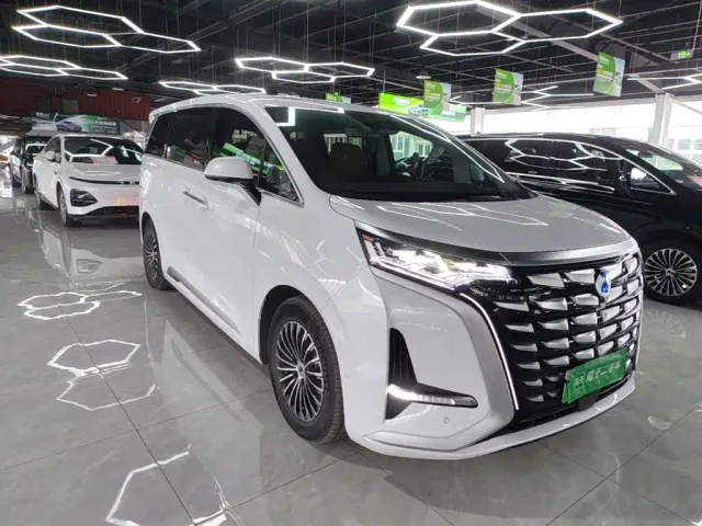 Denza Denza D9 2022 DM-i 970 AWD Flagship — Фото автомобиля 3
