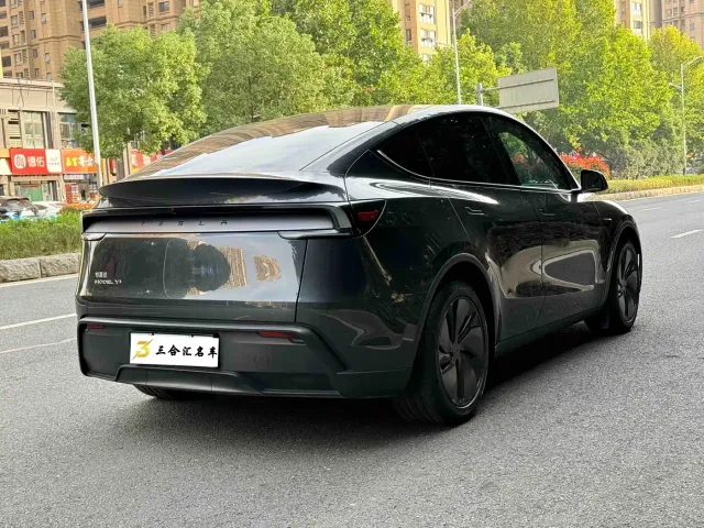 Tesla Model Y — Фото автомобиля 10