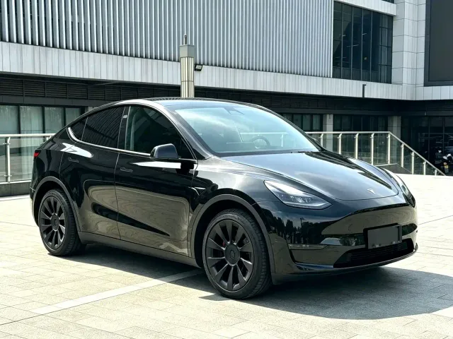 Tesla Model Y — Фото автомобиля 3