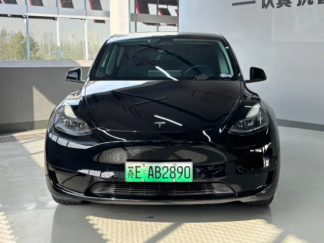 Tesla Model Y — Фото автомобиля 2