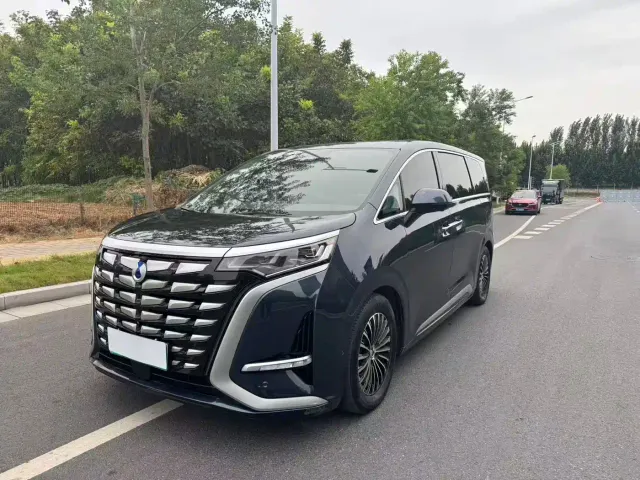 Фотография автомобиля — Denza D9