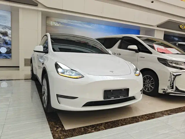 Tesla Model Y — Фото автомобиля 3