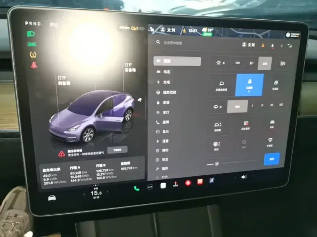 Tesla Model Y — Фото автомобиля 12