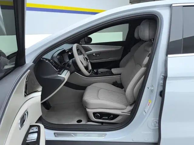 BYD Han — Фото автомобиля 9