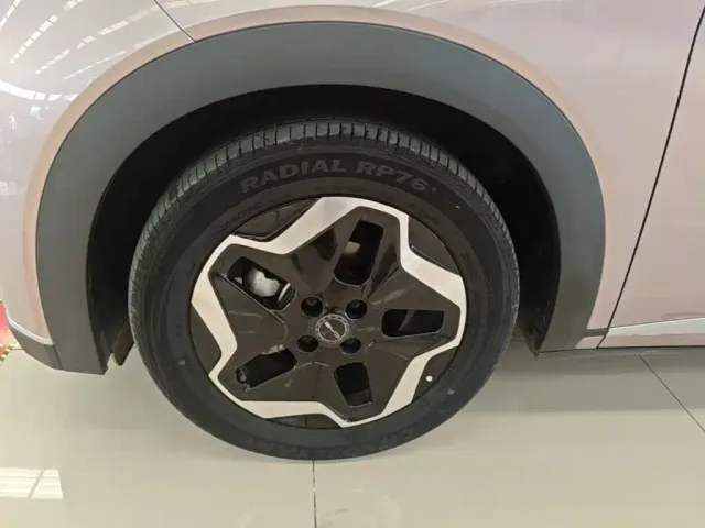 BYD Dolphin — Фото автомобиля 22