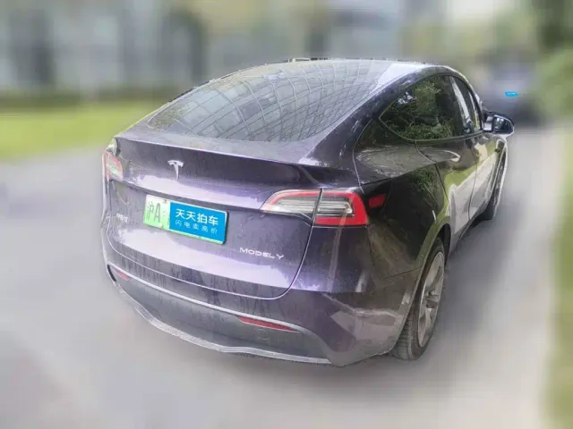 Tesla Model Y — Фото автомобиля 2