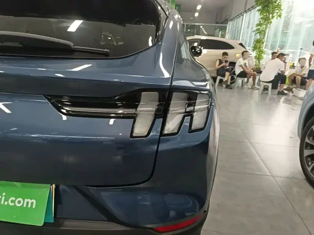 Ford Mustang Mach-E — Фото автомобиля 7
