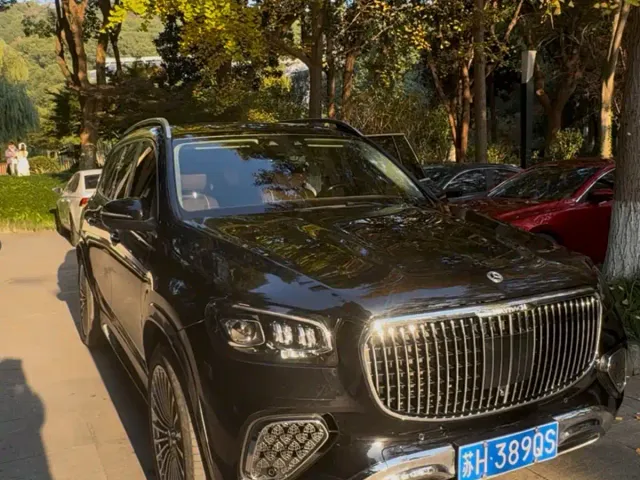 Mercedes-Benz GLS-Class — Фото автомобиля 13