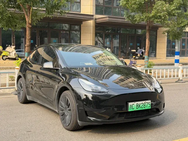 Tesla Model Y — Фото автомобиля 3