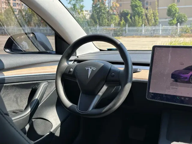 Tesla Model 3 — Фото автомобиля 9