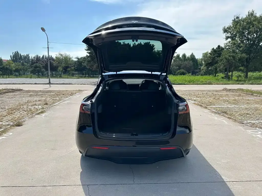 Tesla Model Y 2024 Rear-Wheel Drive Version — Фото автомобиля 8