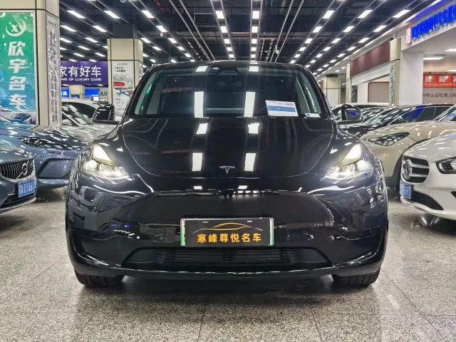 Tesla Model Y — Фото автомобиля 2