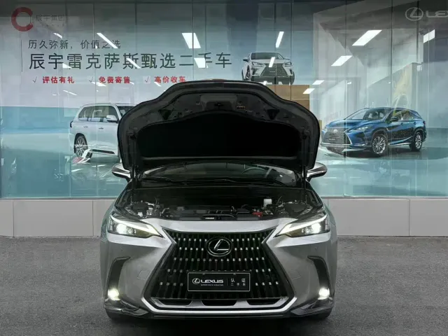 Lexus NX — Фото автомобиля 3