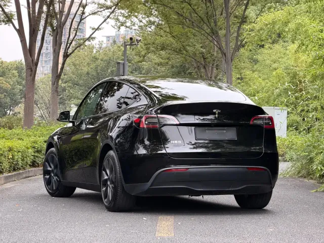 Tesla Model Y — Фото автомобиля 4