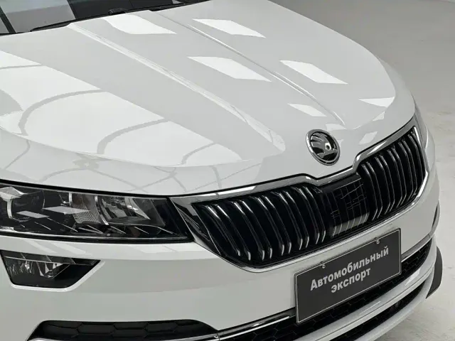 Skoda Karoq — Фото автомобиля 5