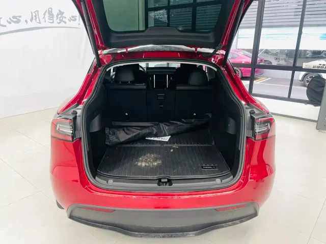 Tesla Model Y — Фото автомобиля 16