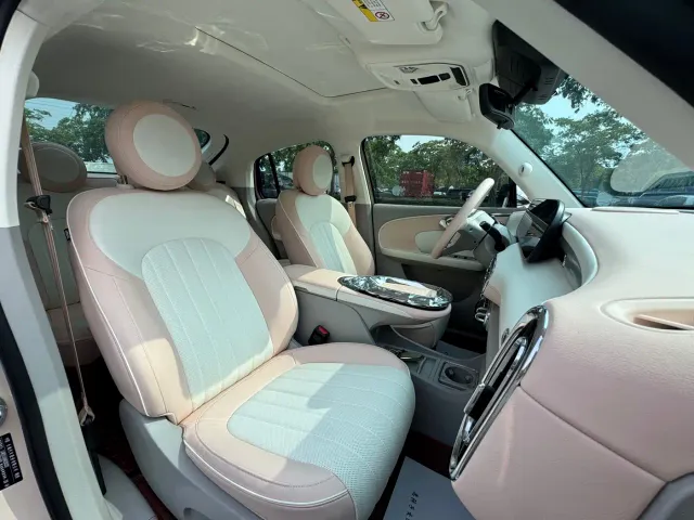 Ora Ora Ballet Cat 2022 500km Swan Lake Edition — Фото автомобиля 7