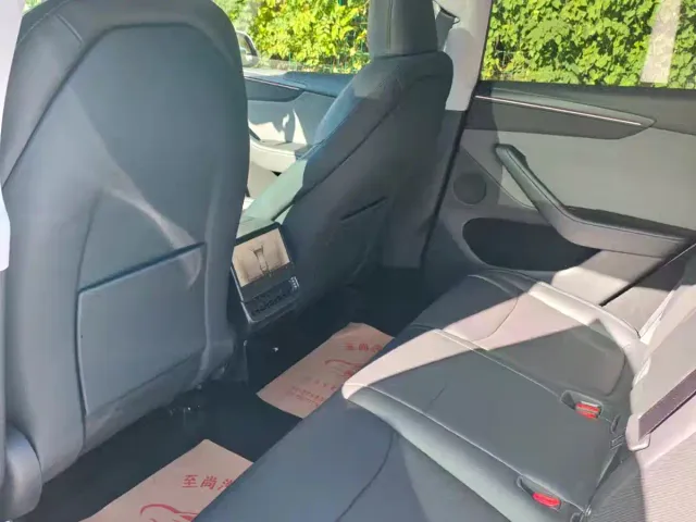 Tesla Model Y — Фото автомобиля 9