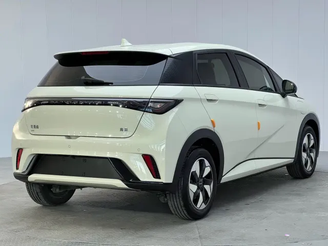 BYD Dolphin — Фото автомобиля 15