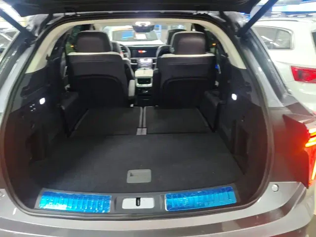 Hongqi E-HS9 — Фото автомобиля 18