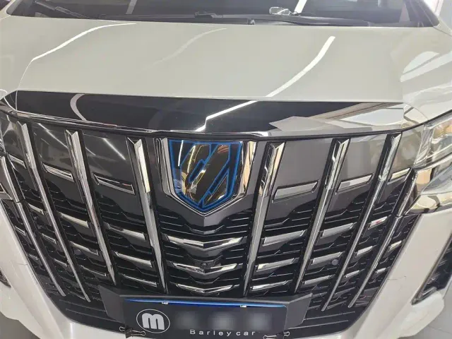 Toyota Alphard — Фото автомобиля 9