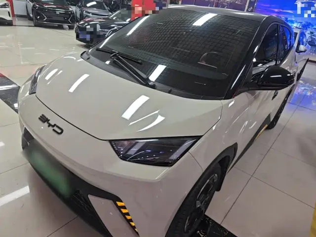 Фотография автомобиля — BYD Seagull