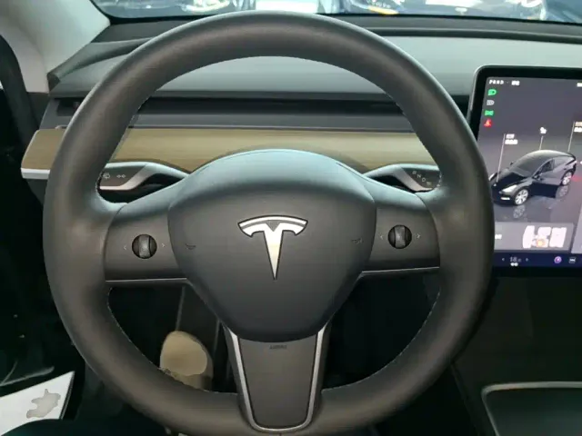Tesla Model Y — Фото автомобиля 10