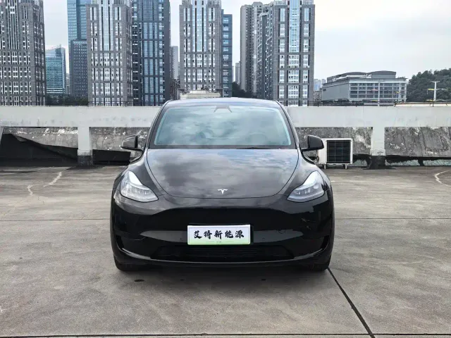 Tesla Model Y — Фото автомобиля 3