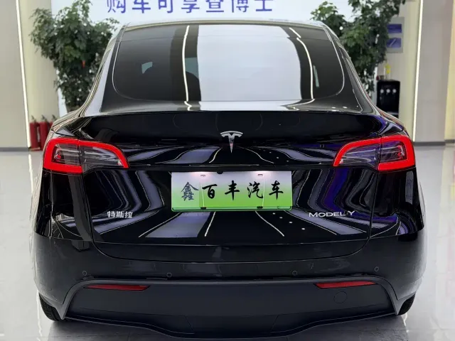 Tesla Model Y — Фото автомобиля 9