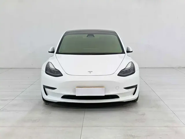 Tesla Model 3 2022 Performance High-Performance AWD — Фото автомобиля 2