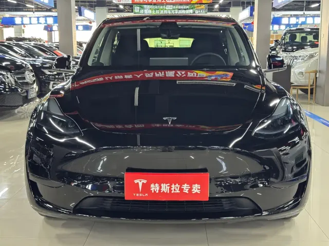 Tesla Model Y — Фото автомобиля 2